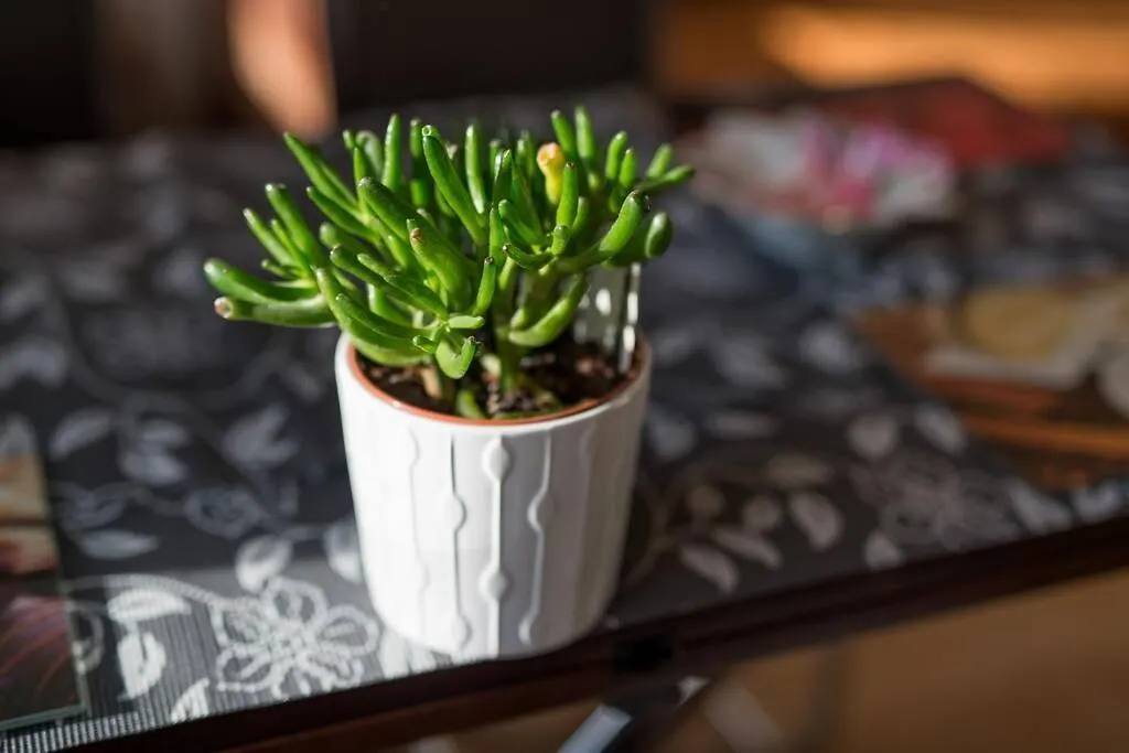 Lägenhet Komfortowy Apartament - Obok Rynku Kraków Polen